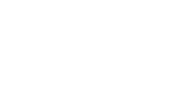The Penguin